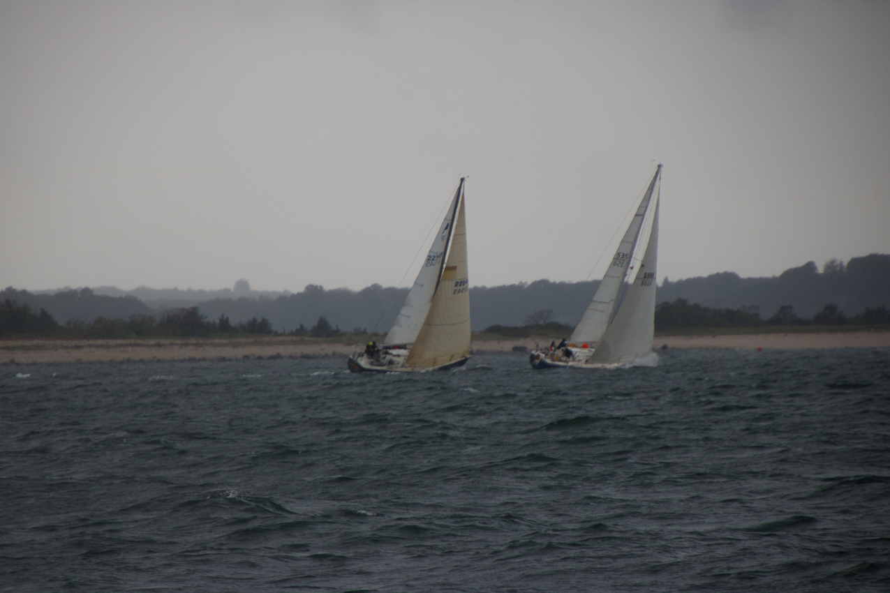 Raggamuffin and Anomoly - maybe their last duel  (Rag beig sold)  ~~  MSSA 2018 Racing