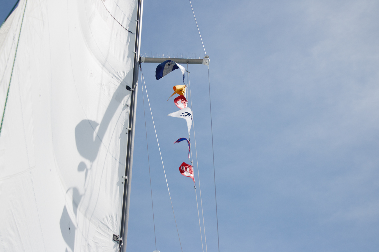 Branford 2019 June 8/9  ~~  MSSA 2019 Cruise #3 Branford CT, s/v Akula & Thomas Lynch, Cruise Captain