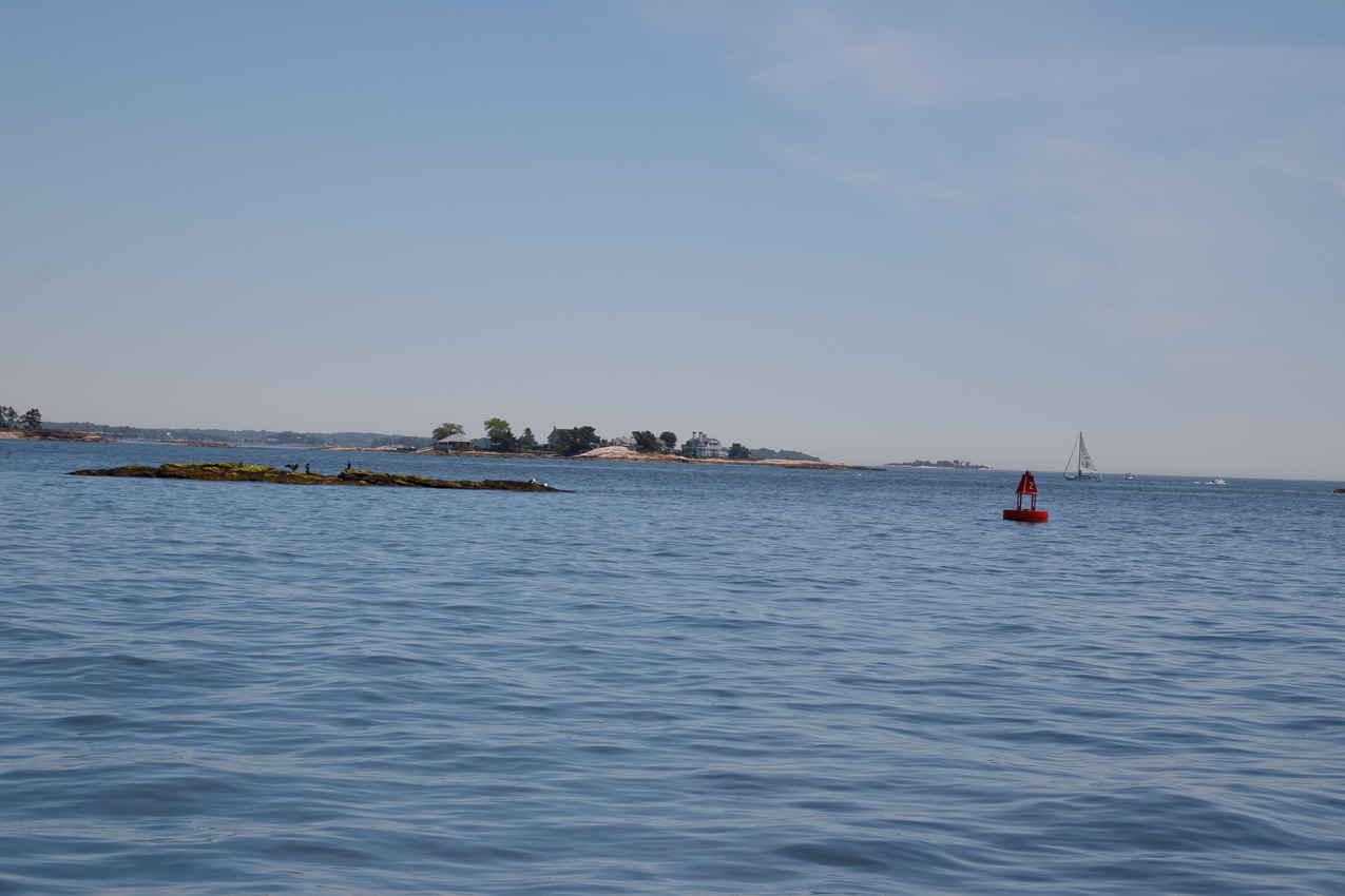 Branford 2019 June 8/9  ~~  MSSA 2019 Cruise #3 Branford CT, s/v Akula & Thomas Lynch, Cruise Captain