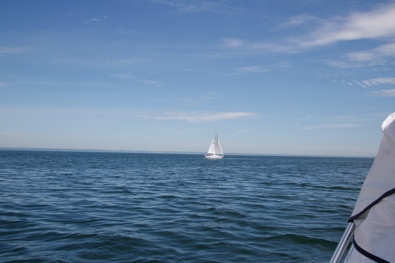   ~~  MSSA Long Distance Race 2019 - 27 NM and  15 plus kts sustained and gusts over 23 kts.