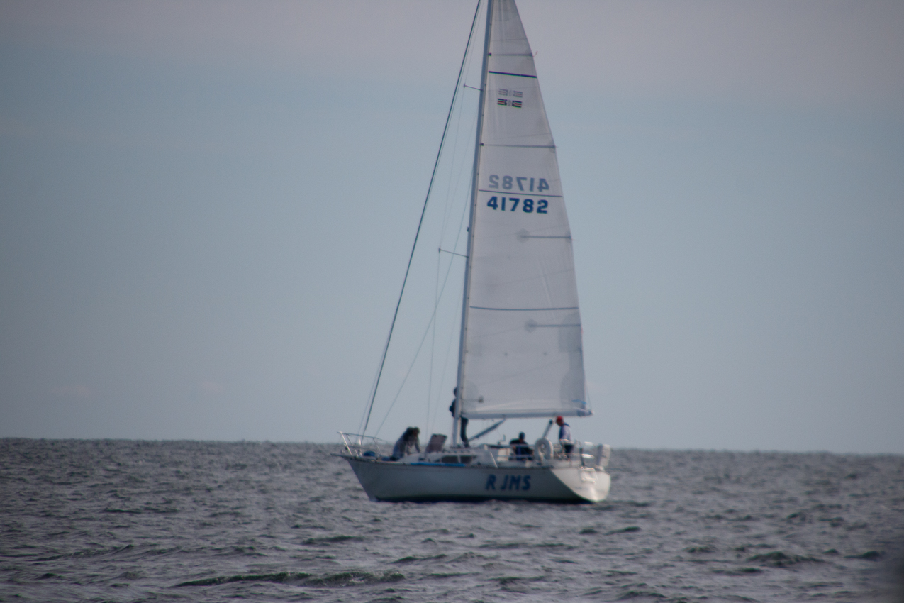 2019 MSSA Jackrabbit Fall Series #1 Race   ~~  Course D - A C F B A