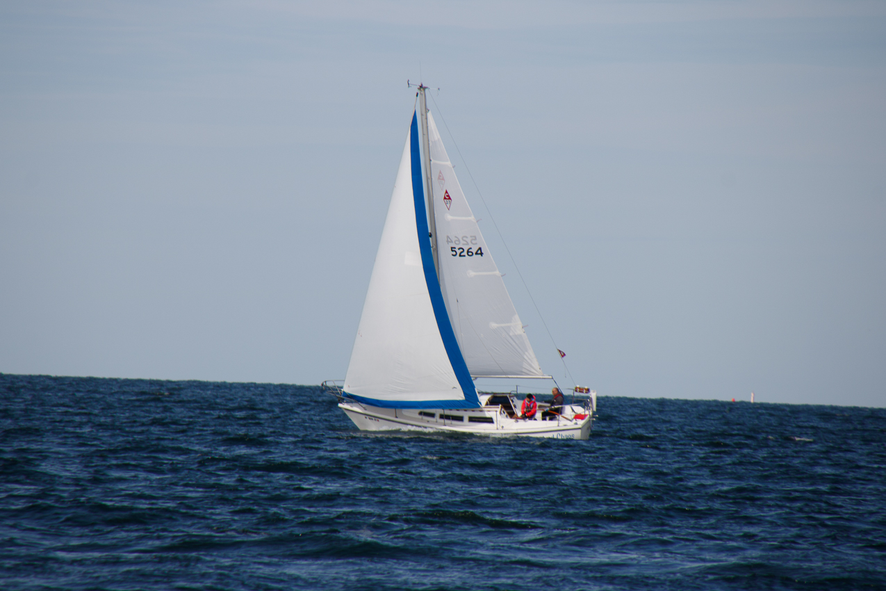 2019 MSSA Jackrabbit Fall Series #1 Race   ~~  Course D - A C F B A