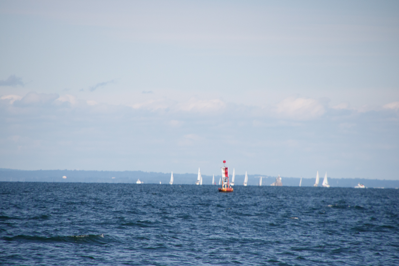 2019 MSSA Jackrabbit Fall Series #1 Race   ~~  Course D - A C F B A