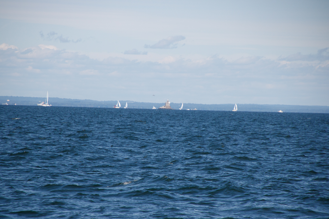 2019 MSSA Jackrabbit Fall Series #1 Race   ~~  Course D - A C F B A