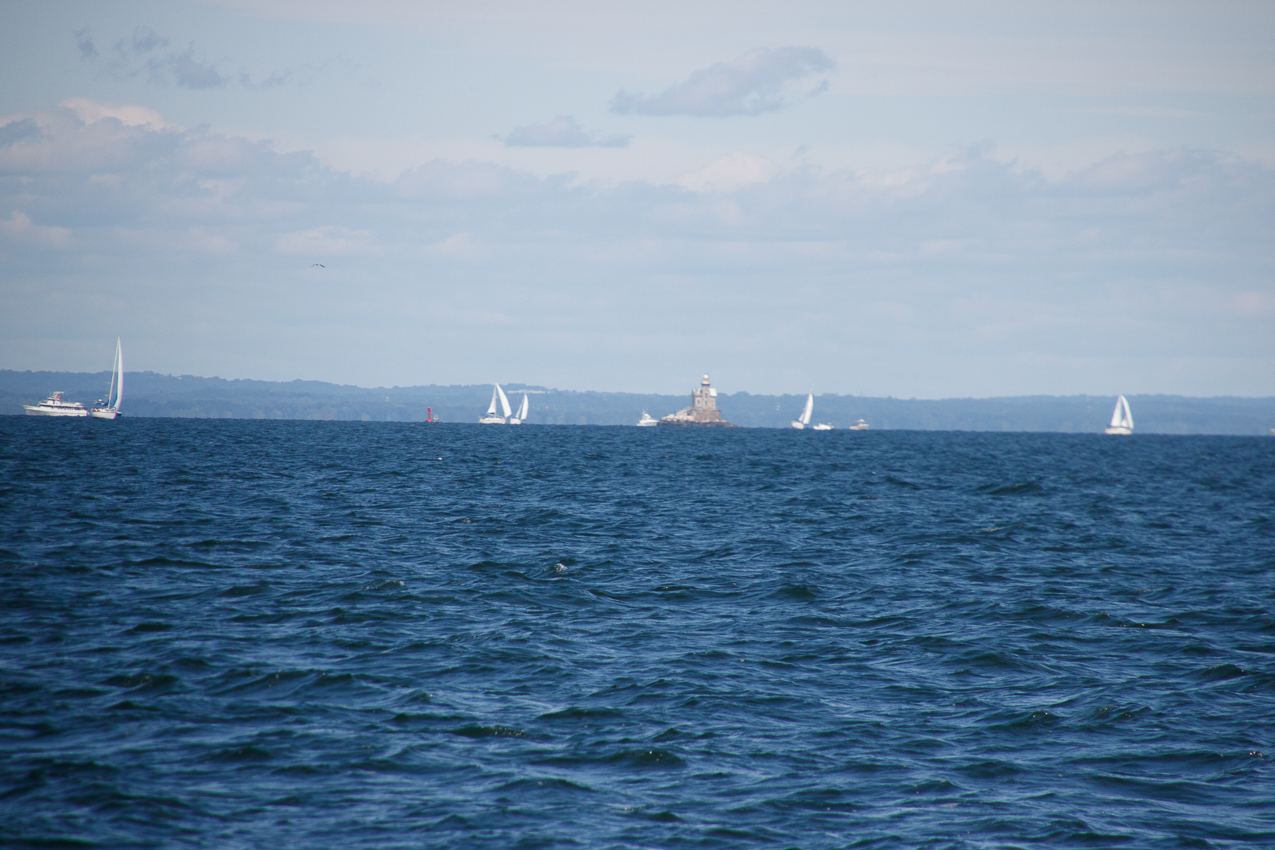 2019 MSSA Jackrabbit Fall Series #1 Race   ~~  Course D - A C F B A