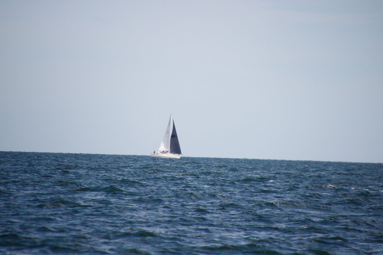 2019 MSSA Jackrabbit Fall Series #1 Race   ~~  Course D - A C F B A