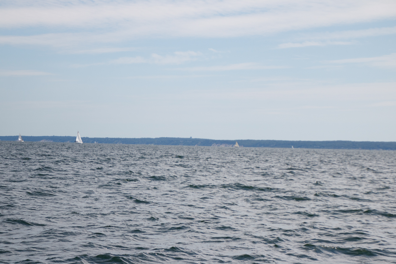 2019 MSSA Jackrabbit Fall Series #1 Race   ~~  Course D - A C F B A