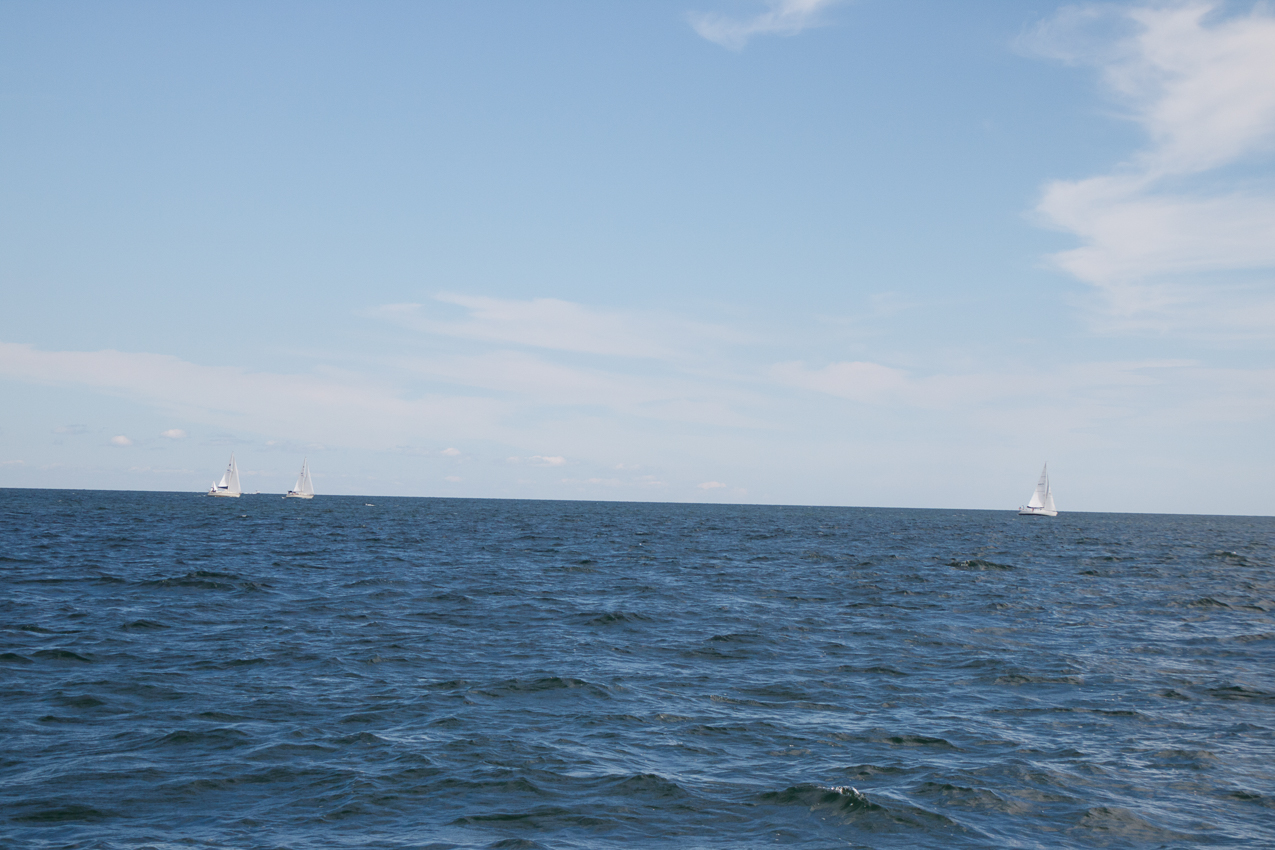 2019 MSSA Jackrabbit Fall Series #1 Race   ~~  Course D - A C F B A