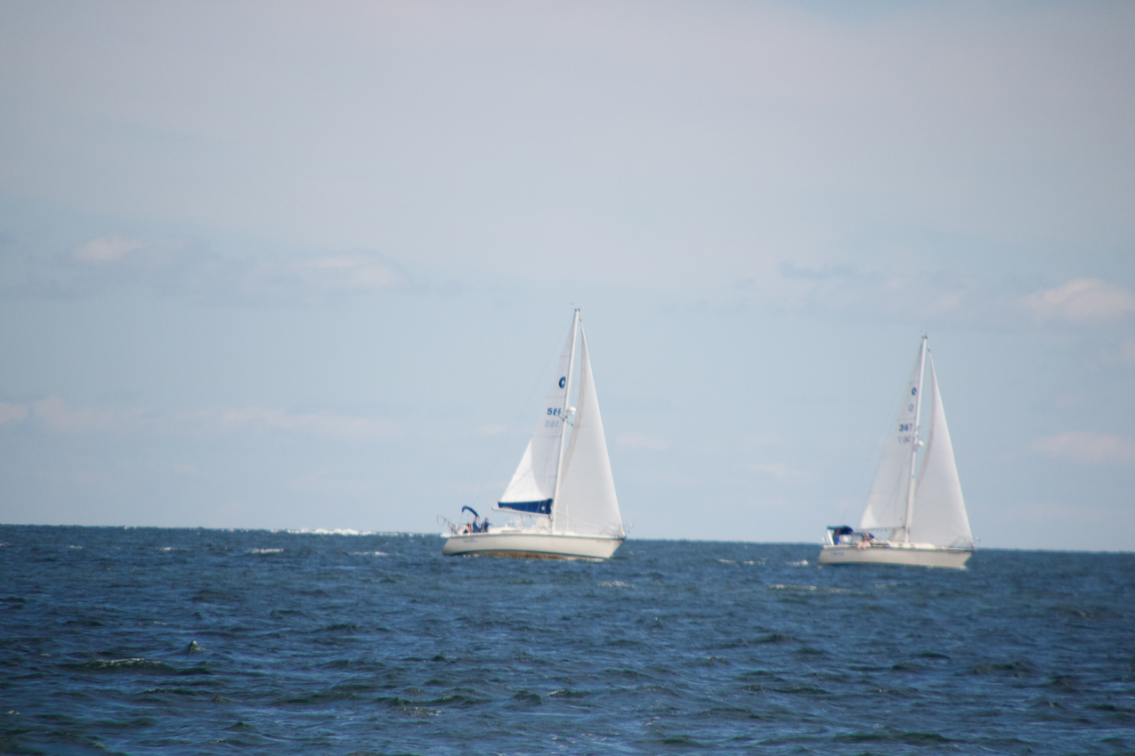 2019 MSSA Jackrabbit Fall Series #1 Race   ~~  Course D - A C F B A