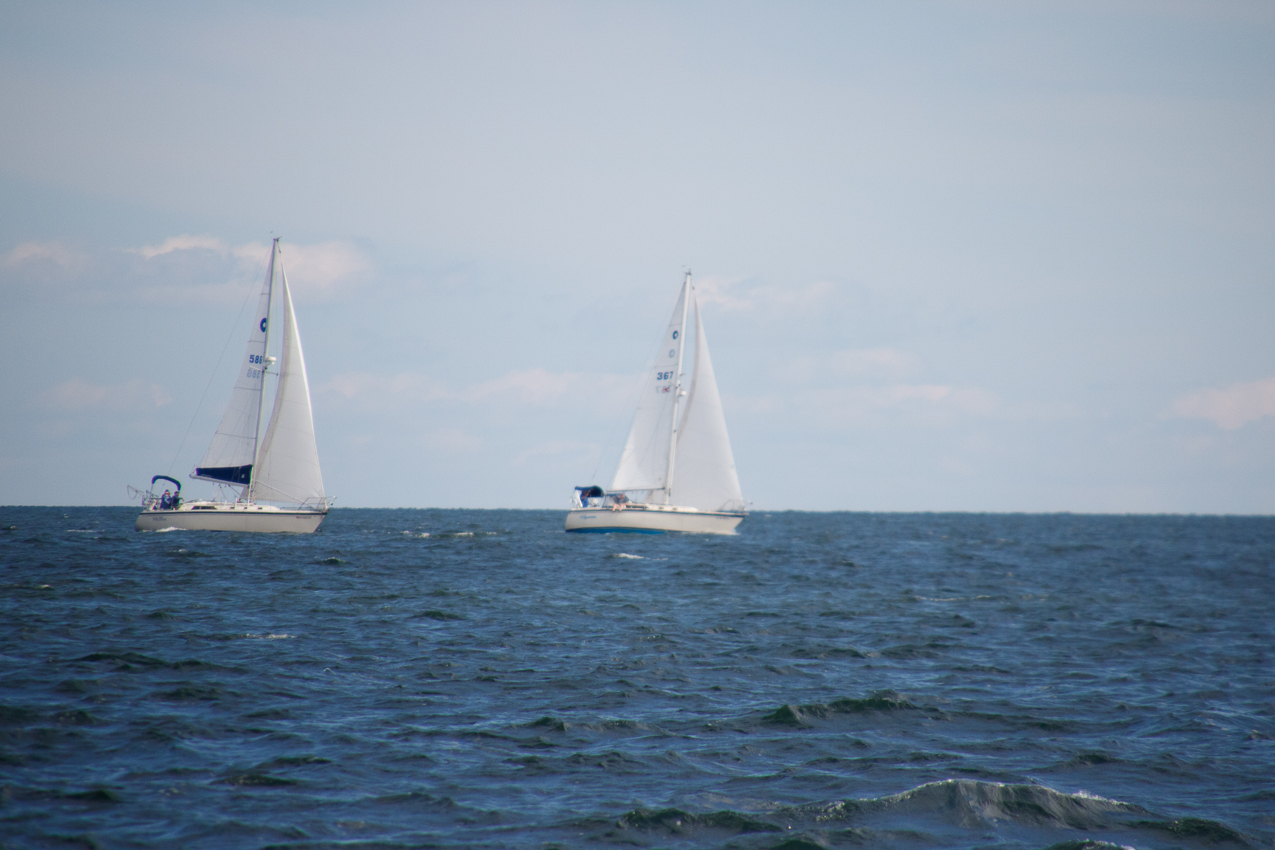 2019 MSSA Jackrabbit Fall Series #1 Race   ~~  Course D - A C F B A