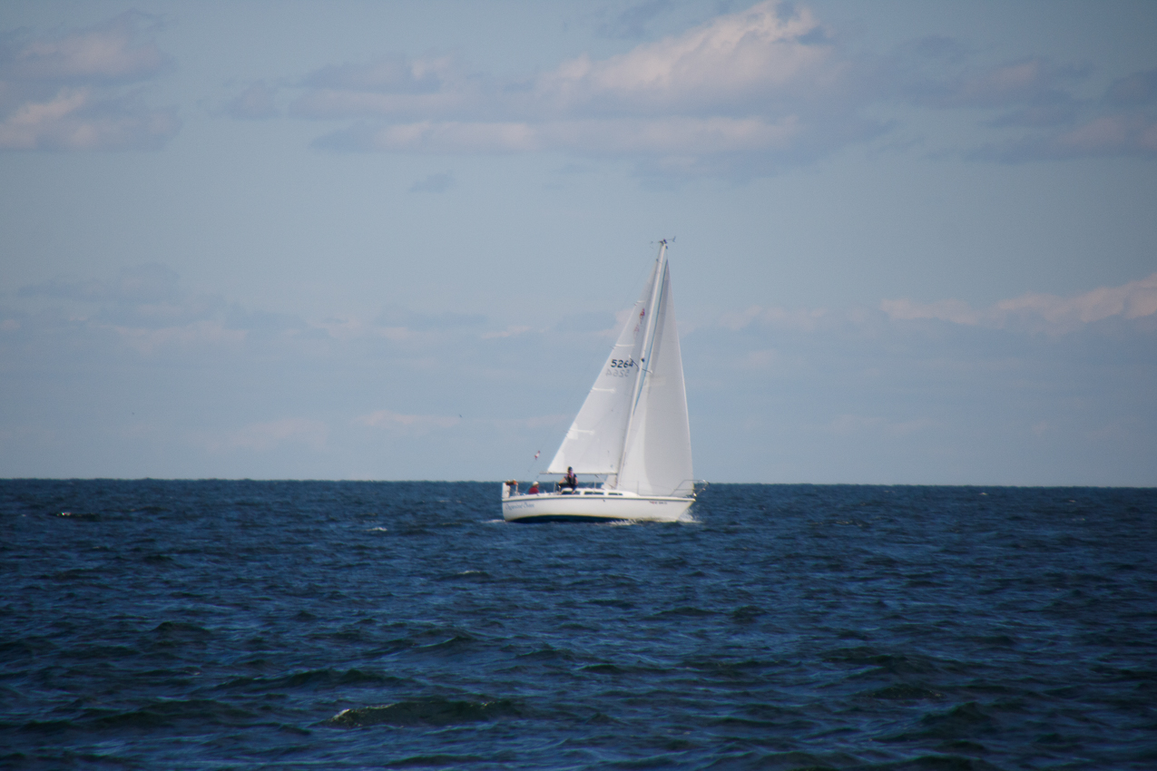 2019 MSSA Jackrabbit Fall Series #1 Race   ~~  Course D - A C F B A