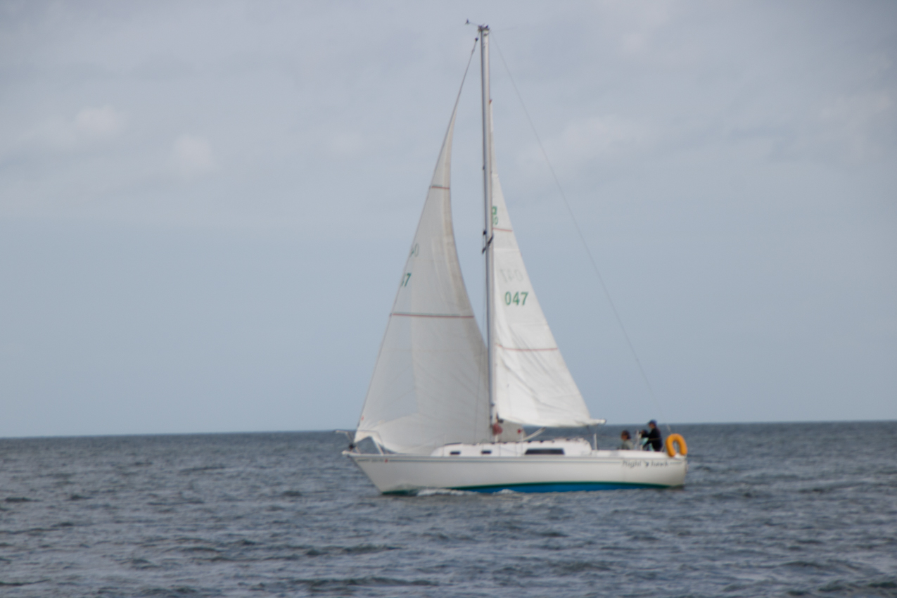 September 14th 2019 MSSA Fall Series Number 2 Jackrabbit Race - Course D:  A, C, F, B, A ~ 13 miles.  ~~  