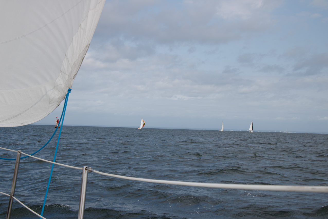 September 14th 2019 MSSA Fall Series Number 2 Jackrabbit Race - Course D:  A, C, F, B, A ~ 13 miles.  ~~  