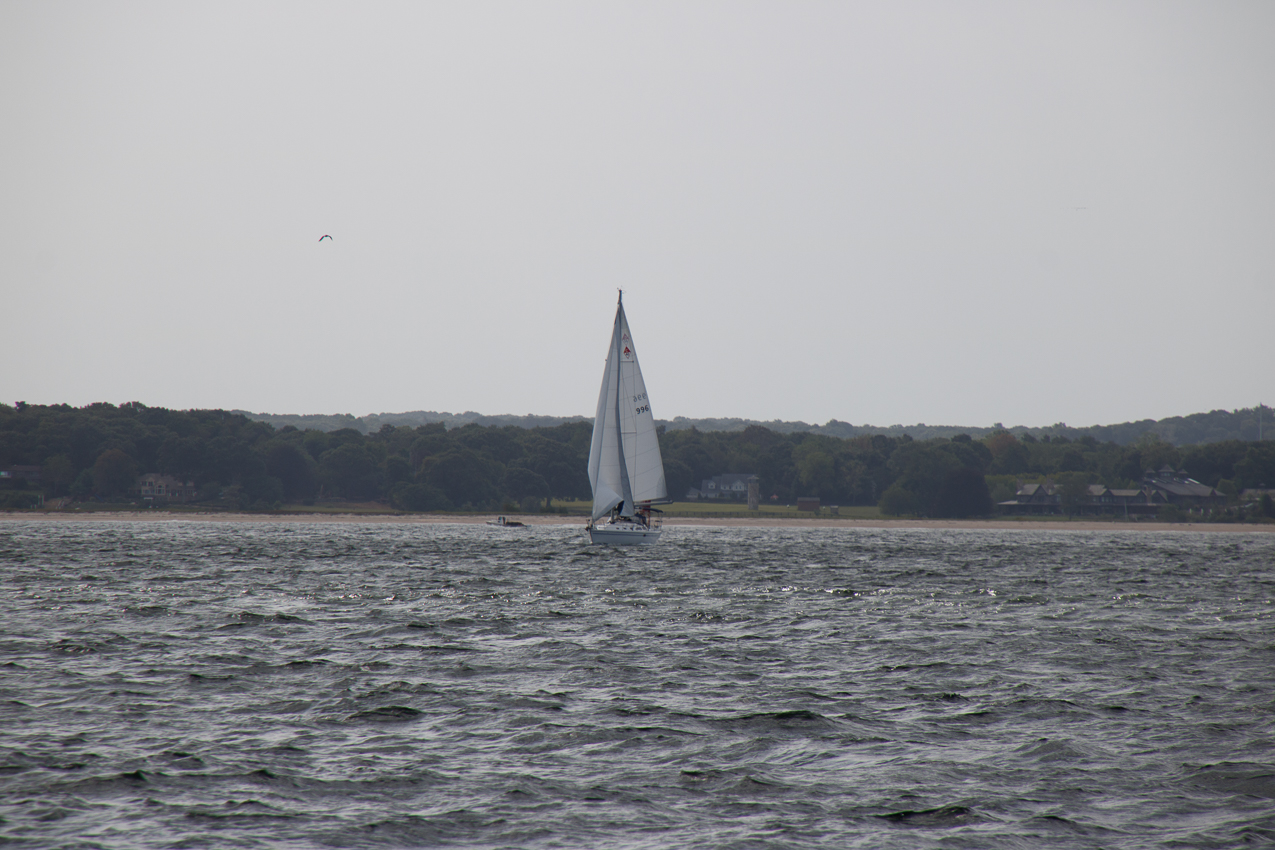 September 14th 2019 MSSA Fall Series Number 2 Jackrabbit Race - Course D:  A, C, F, B, A ~ 13 miles.  ~~  