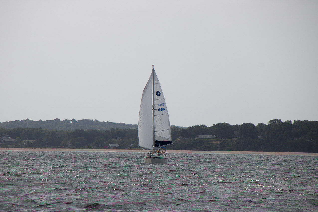 September 14th 2019 MSSA Fall Series Number 2 Jackrabbit Race - Course D:  A, C, F, B, A ~ 13 miles.  ~~  