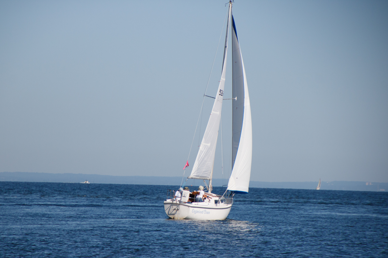 Mt Sinai Sailing Association 38th Annual American Cancer Society Regatta 2019  ~~  Not a blustery day.