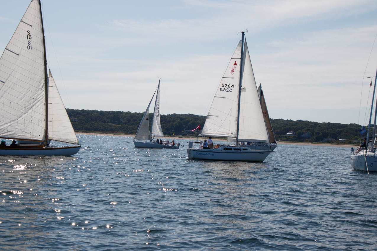 Mt Sinai Sailing Association 38th Annual American Cancer Society Regatta 2019  ~~  Not a blustery day.