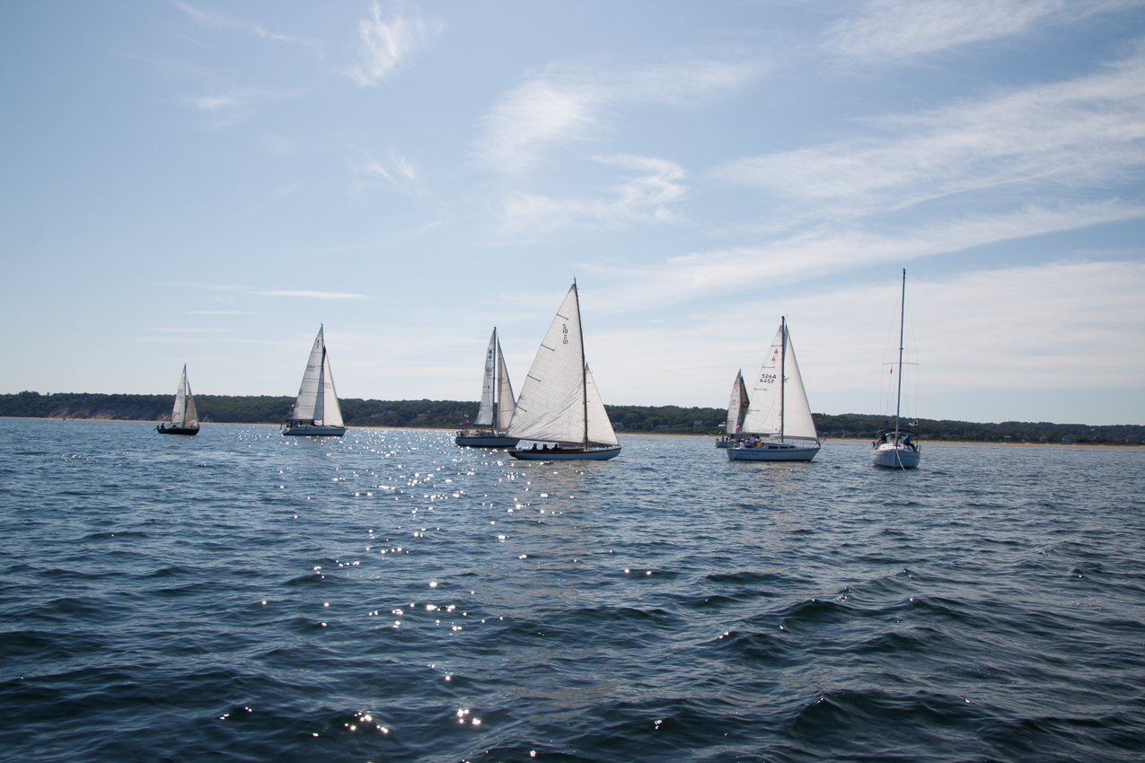 Mt Sinai Sailing Association 38th Annual American Cancer Society Regatta 2019  ~~  Not a blustery day.
