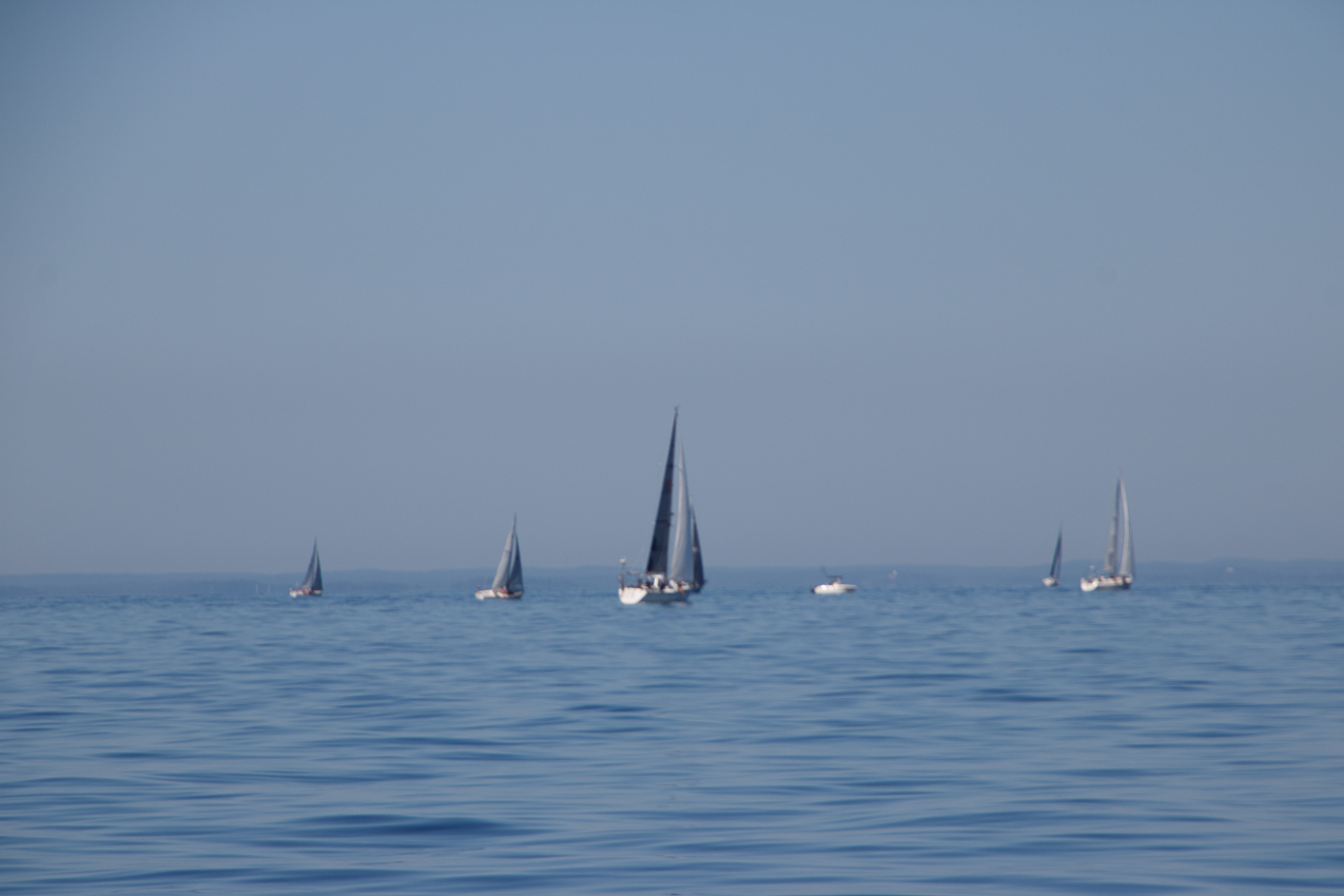 Mt Sinai Sailing Association 38th Annual American Cancer Society Regatta 2019  ~~  Not a blustery day.
