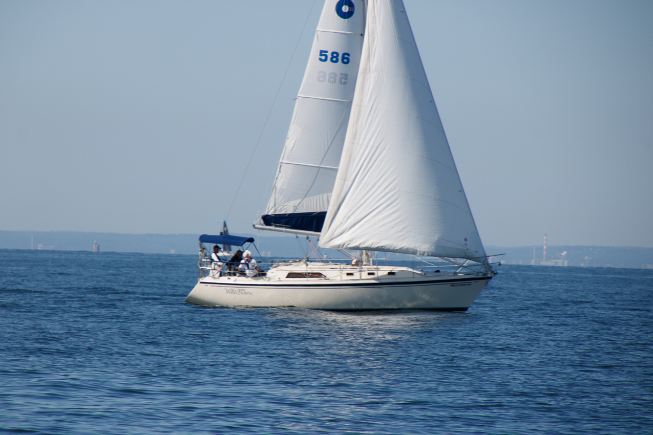 Mt Sinai Sailing Association 38th Annual American Cancer Society Regatta 2019  ~~  Not a blustery day.