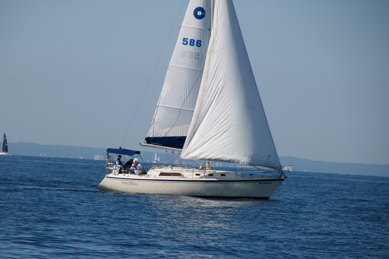 Mt Sinai Sailing Association 38th Annual American Cancer Society Regatta 2019  ~~  Not a blustery day.