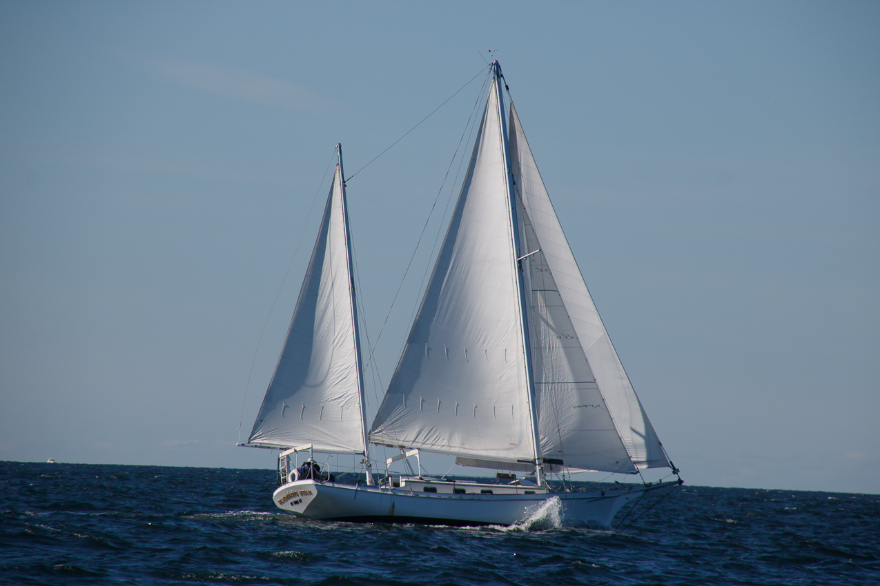 MSSA JackRabbit #3 Pursuit Race September 29, 2019  ~~  Course A - (A) J C G (A)  ~ 13 miles