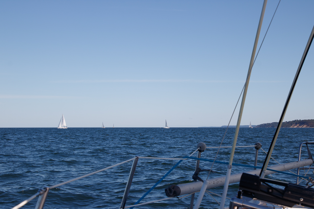 MSSA JackRabbit #3 Pursuit Race September 29, 2019  ~~  Course A - (A) J C G (A)  ~ 13 miles