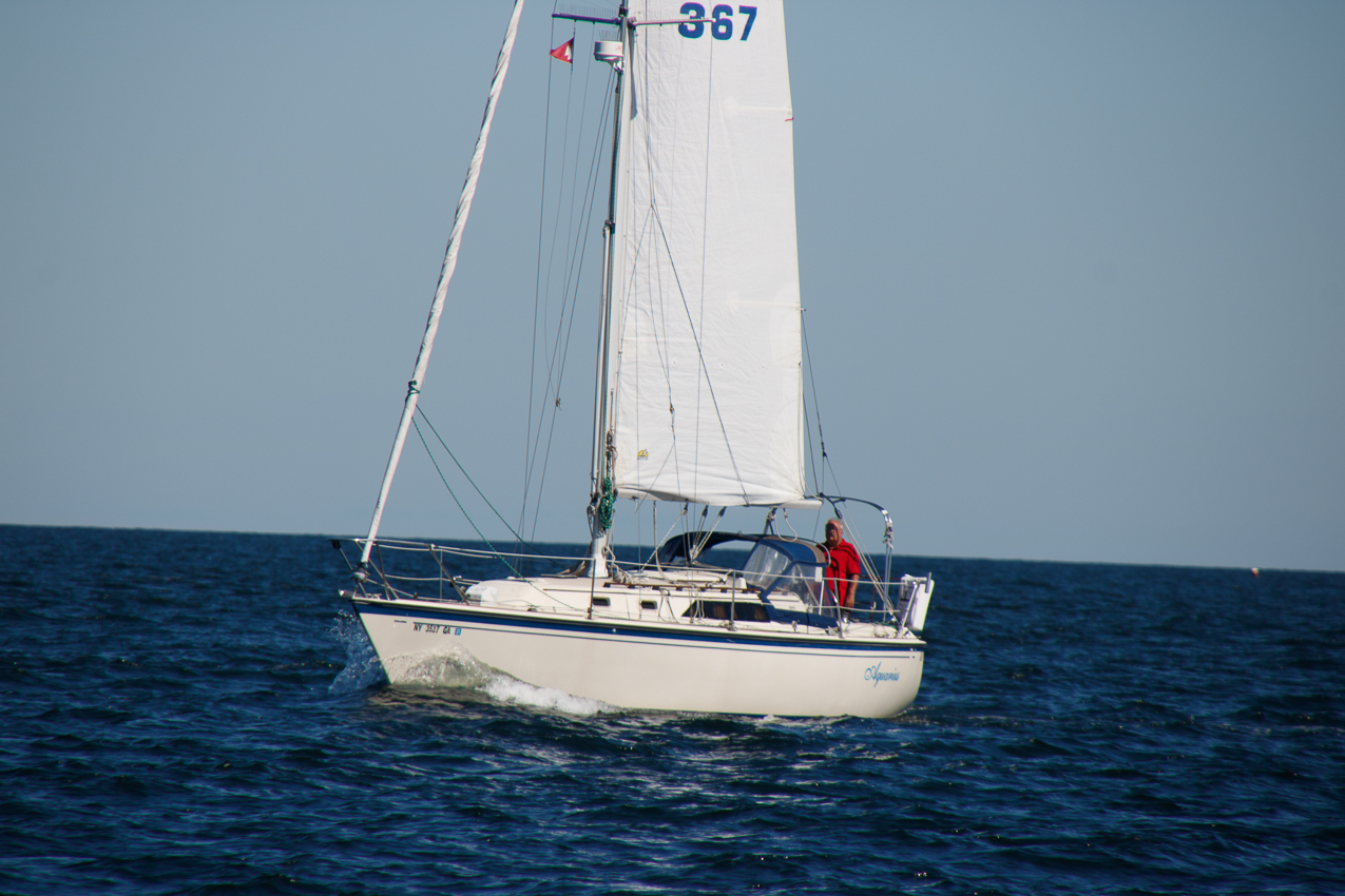 MSSA JackRabbit #3 Pursuit Race September 29, 2019  ~~  Course A - (A) J C G (A)  ~ 13 miles