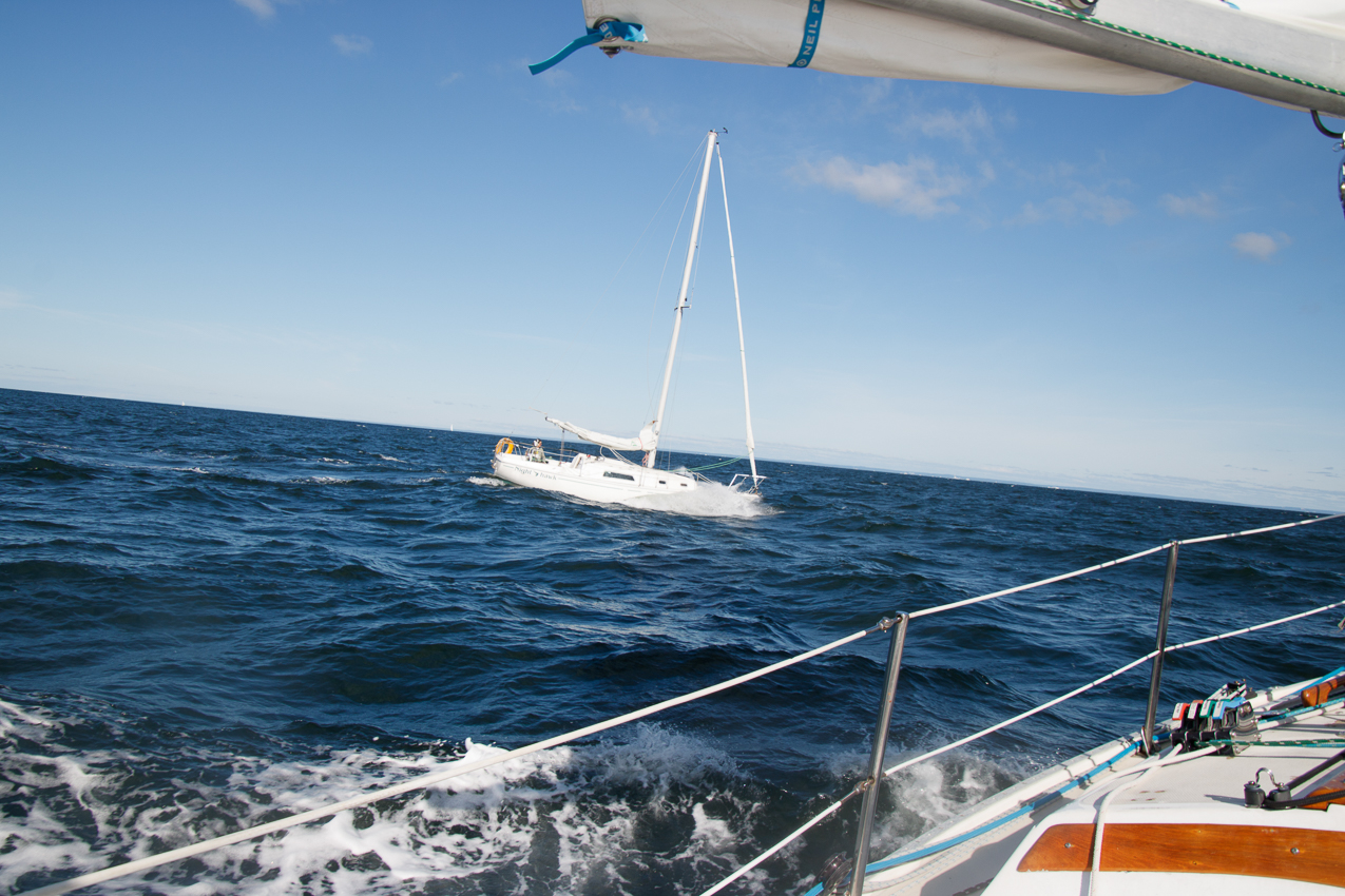 MSSA JackRabbit #3 Pursuit Race September 29, 2019  ~~  Course A - (A) J C G (A)  ~ 13 miles