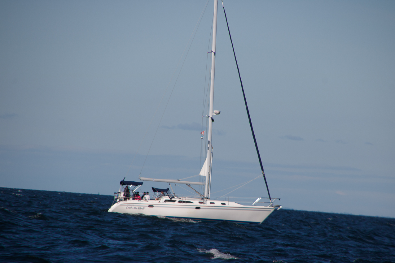 MSSA JackRabbit #3 Pursuit Race September 29, 2019  ~~  Course A - (A) J C G (A)  ~ 13 miles