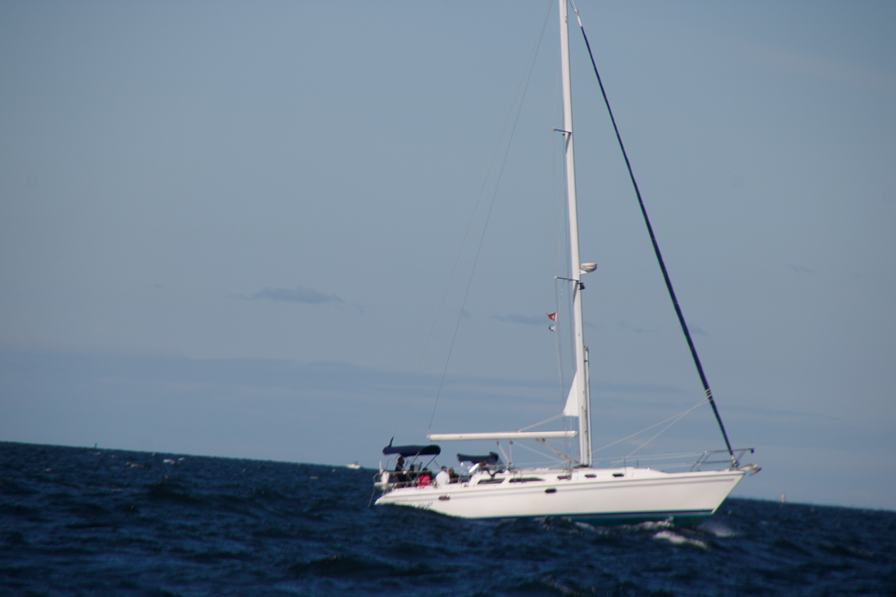 MSSA JackRabbit #3 Pursuit Race September 29, 2019  ~~  Course A - (A) J C G (A)  ~ 13 miles