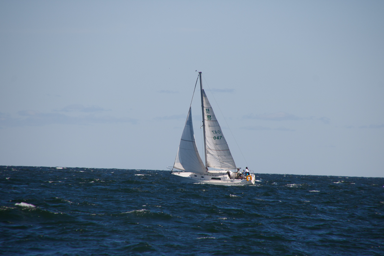 MSSA JackRabbit #3 Pursuit Race September 29, 2019  ~~  Course A - (A) J C G (A)  ~ 13 miles