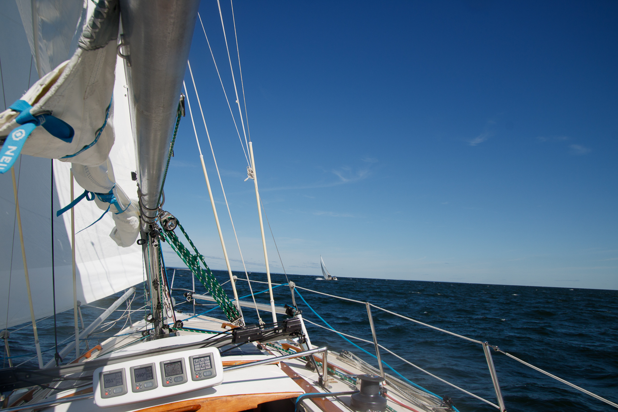 MSSA JackRabbit #3 Pursuit Race September 29, 2019  ~~  Course A - (A) J C G (A)  ~ 13 miles