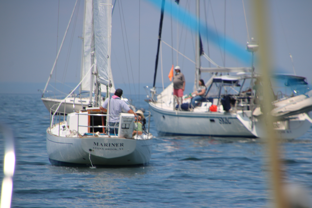 PJYC 2020 Harbor Cup - Abandoned no wind  ~~  Anomoly, Irish Mist, and others
