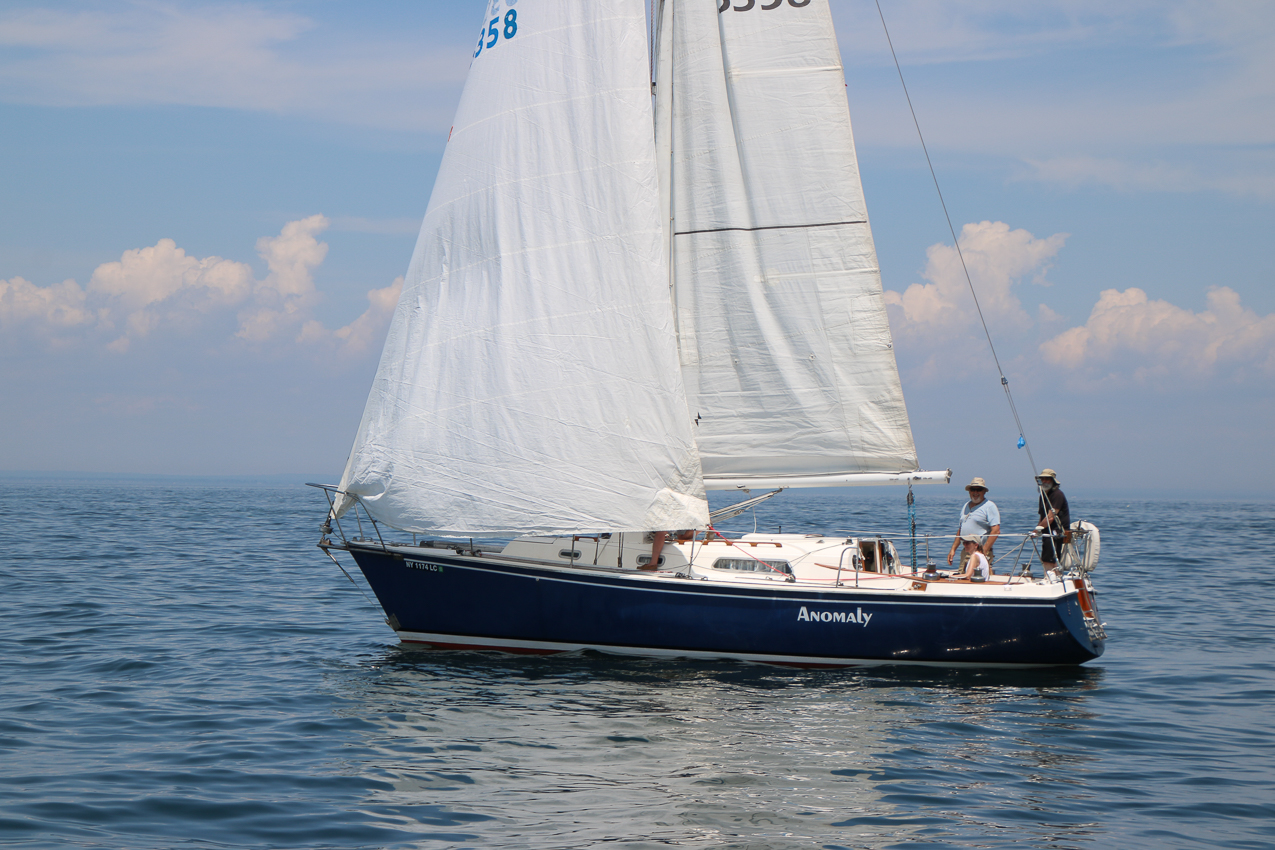 PJYC 2020 Harbor Cup - Abandoned no wind  ~~  Anomoly, Irish Mist, and others