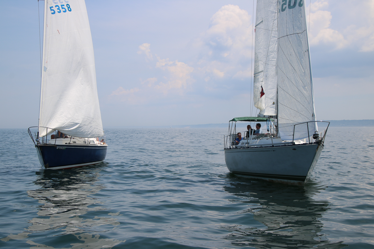 PJYC 2020 Harbor Cup - Abandoned no wind  ~~  Anomoly, Irish Mist, and others