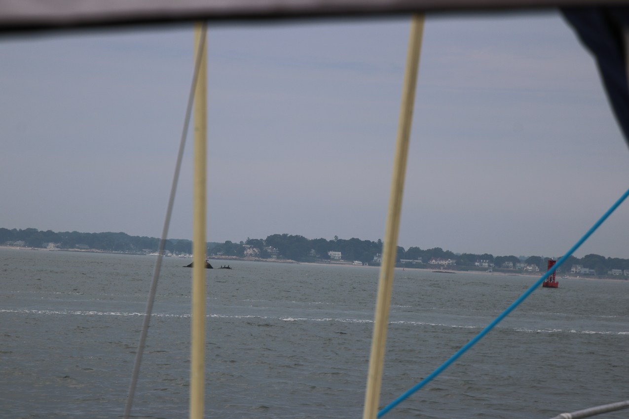 Akula Branford Cruise on the way home to Mt Sinai  ~~  MSSA Branford Cruise June 27 & 28 2020