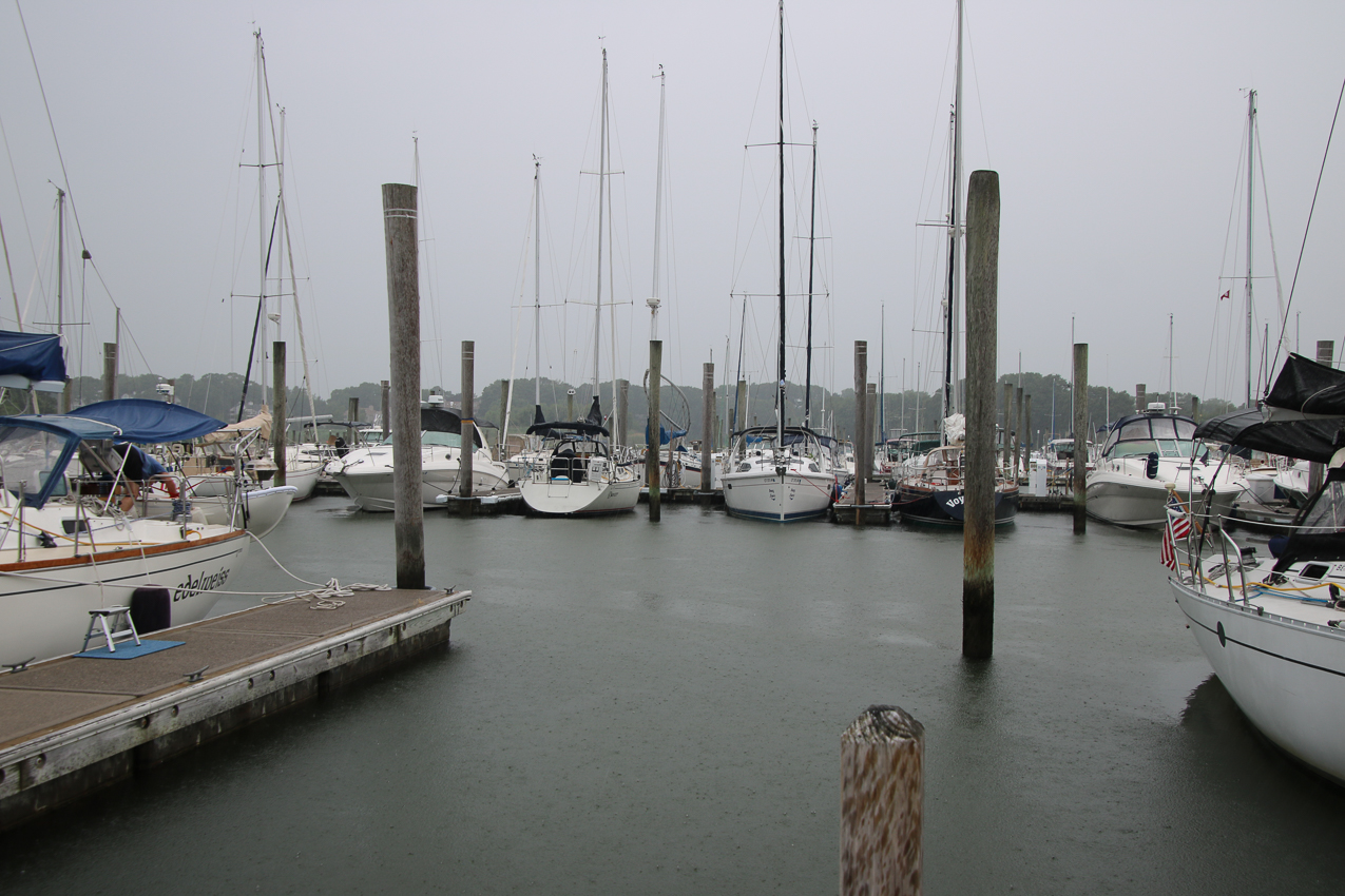 Bruce & Johnson Safe Harbor Marina  ~~  MSSA Branford Cruise June 27 & 28 2020