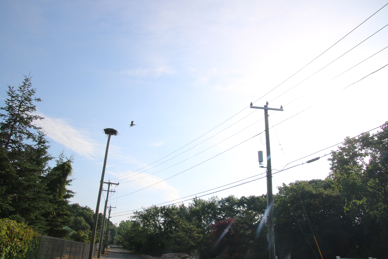 Bruce & Johnson Safe Harbor Marina  ~~  MSSA Branford Cruise June 27 & 28 2020