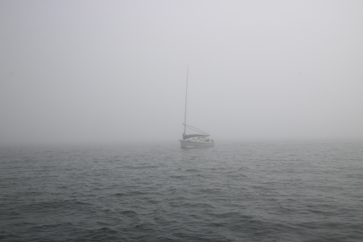 Akula Branford Cruise on the way home to Mt Sinai  ~~  MSSA Branford Cruise June 27 & 28 2020