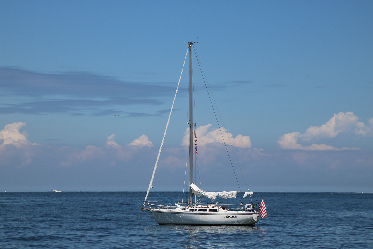 A day at the 2020 MSSA Flax Pond Event   ~~  