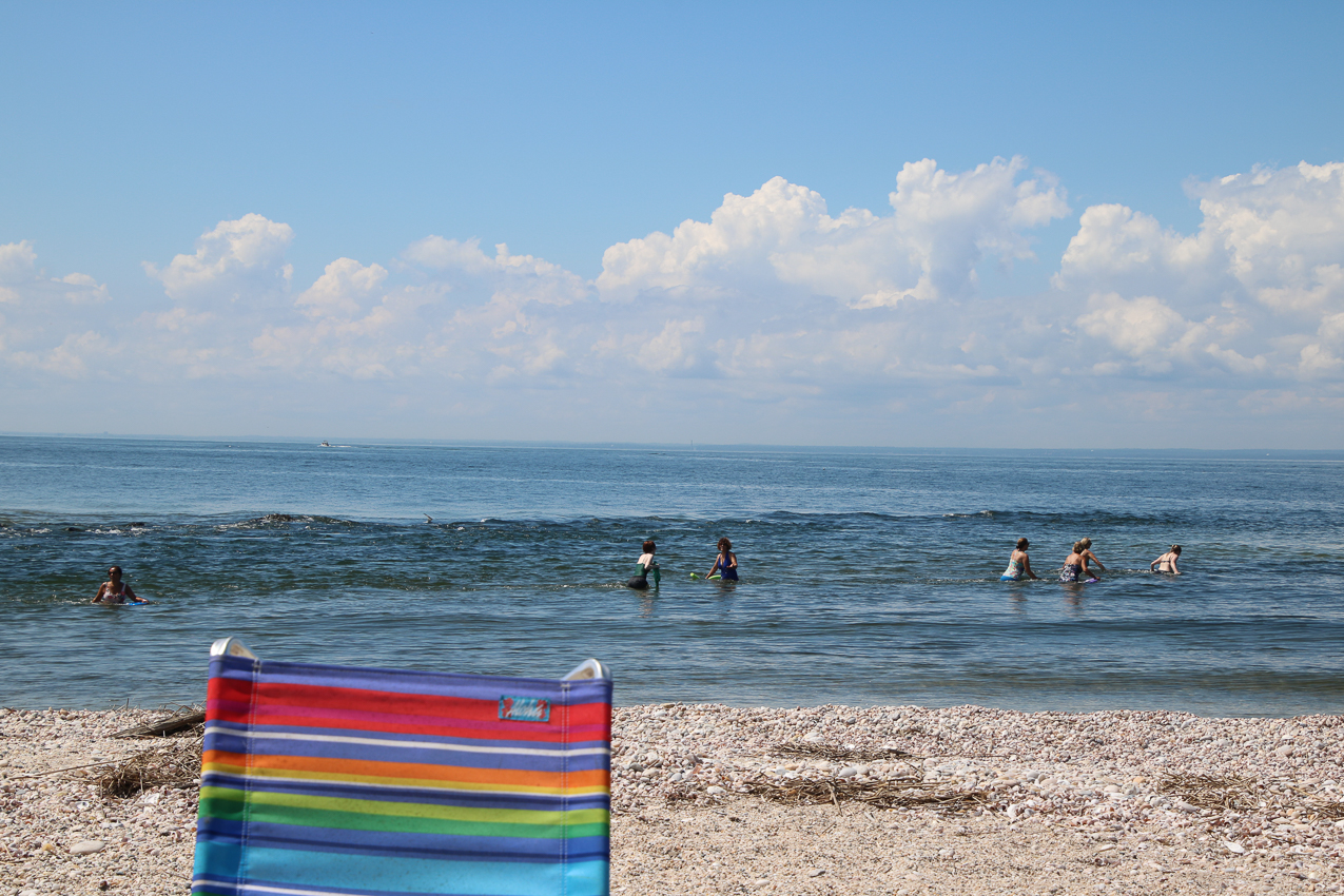 A day at the 2020 MSSA Flax Pond Event   ~~  