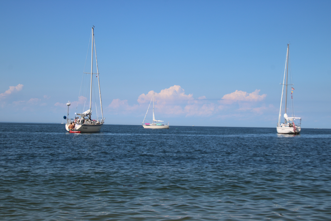 A day at the 2020 MSSA Flax Pond Event   ~~  