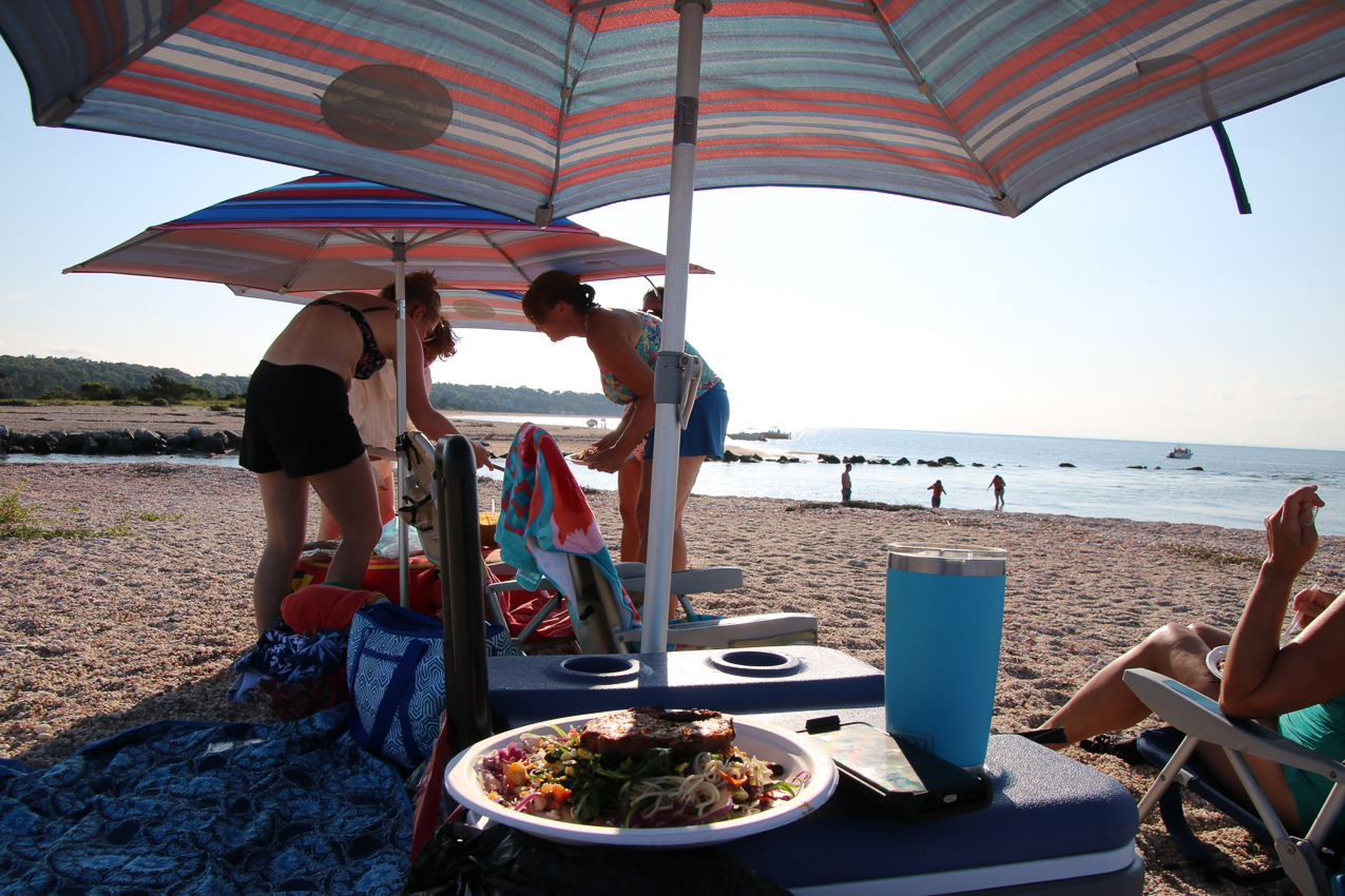 A day at the 2020 MSSA Flax Pond Event   ~~  