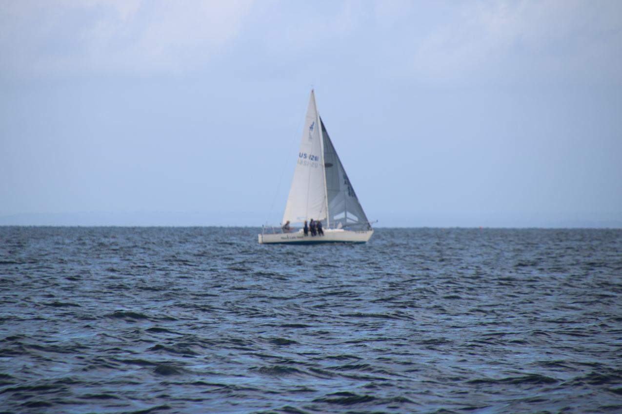 MSSA Fall 2 JackRabbit Race  ~~  