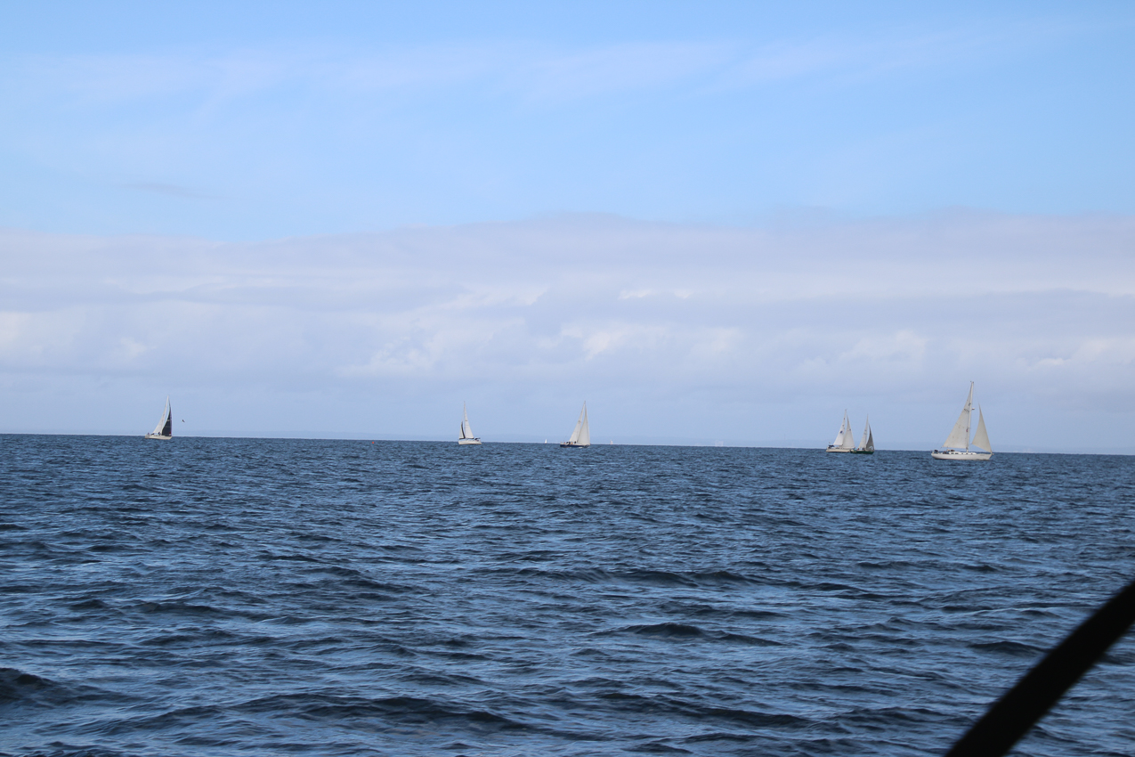 MSSA Fall 2 JackRabbit Race  ~~  