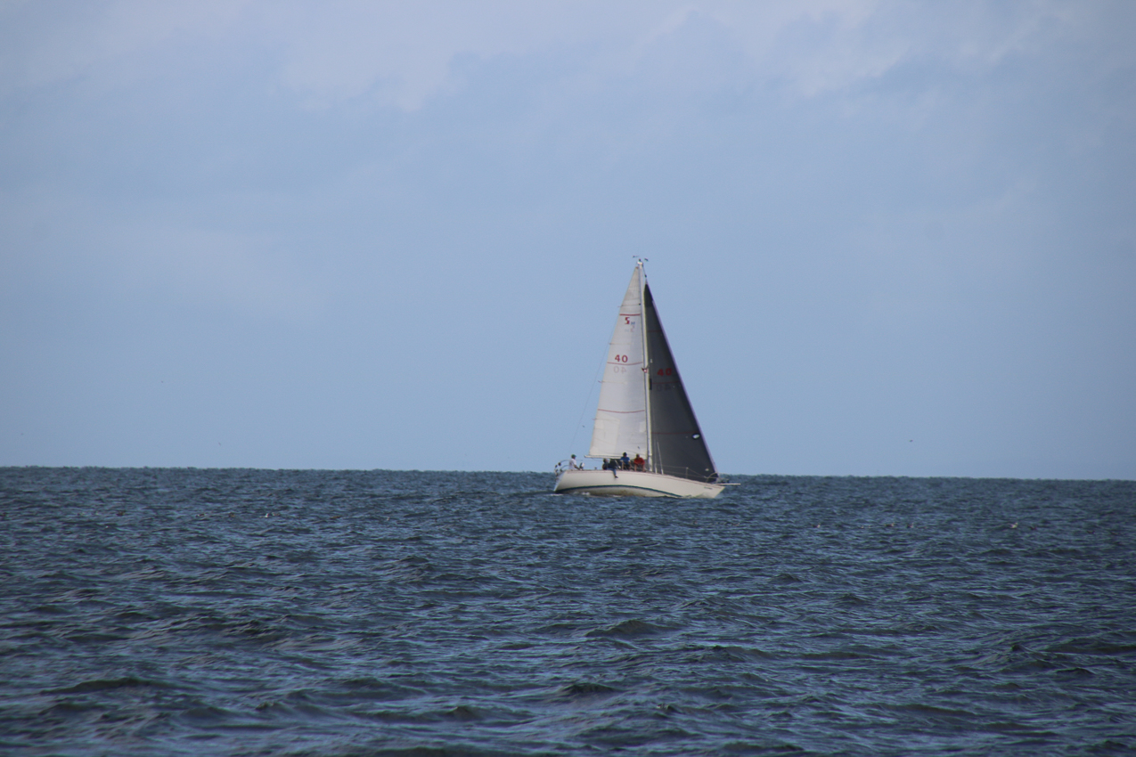 MSSA Fall 2 JackRabbit Race  ~~  