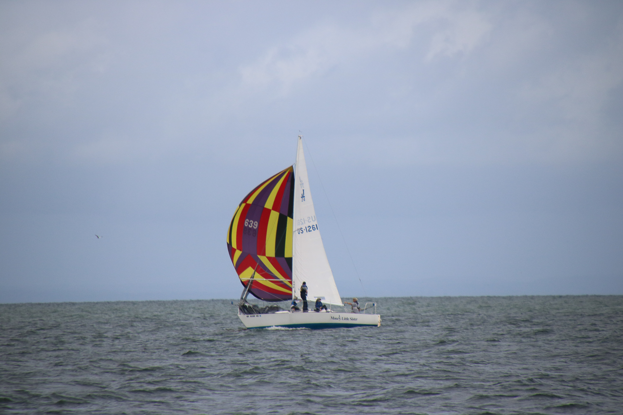 MSSA Fall 2 JackRabbit Race  ~~  