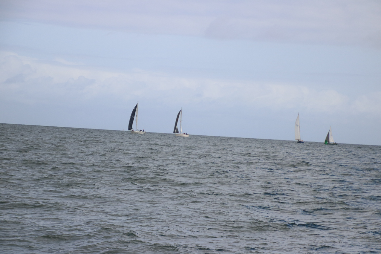 MSSA Fall 2 JackRabbit Race  ~~  