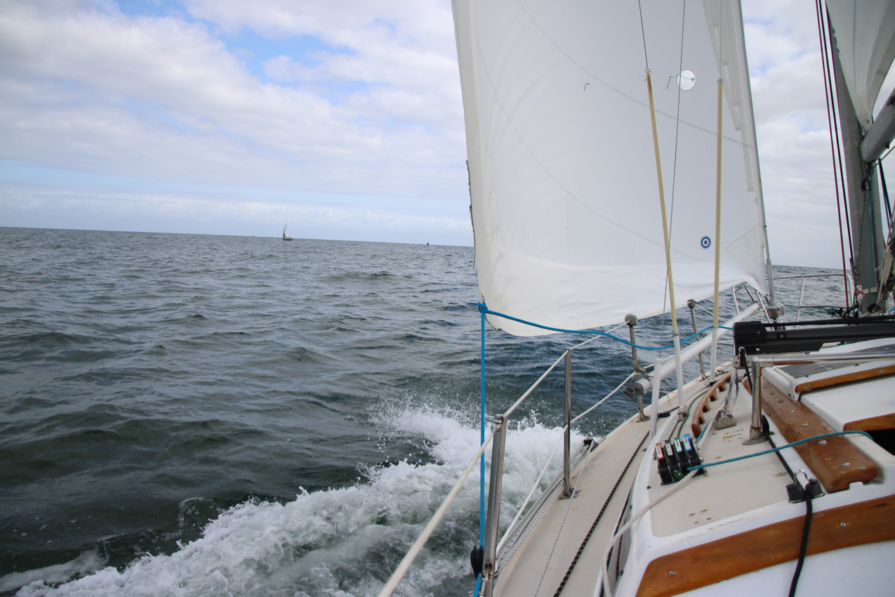 MSSA Fall 2 JackRabbit Race  ~~  